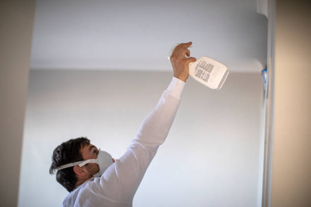 Best Attic Mold Remediation in Sheffield, OH