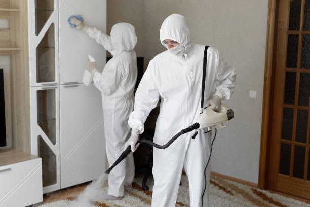 Professional Mold Remediation in Sheffield, OH